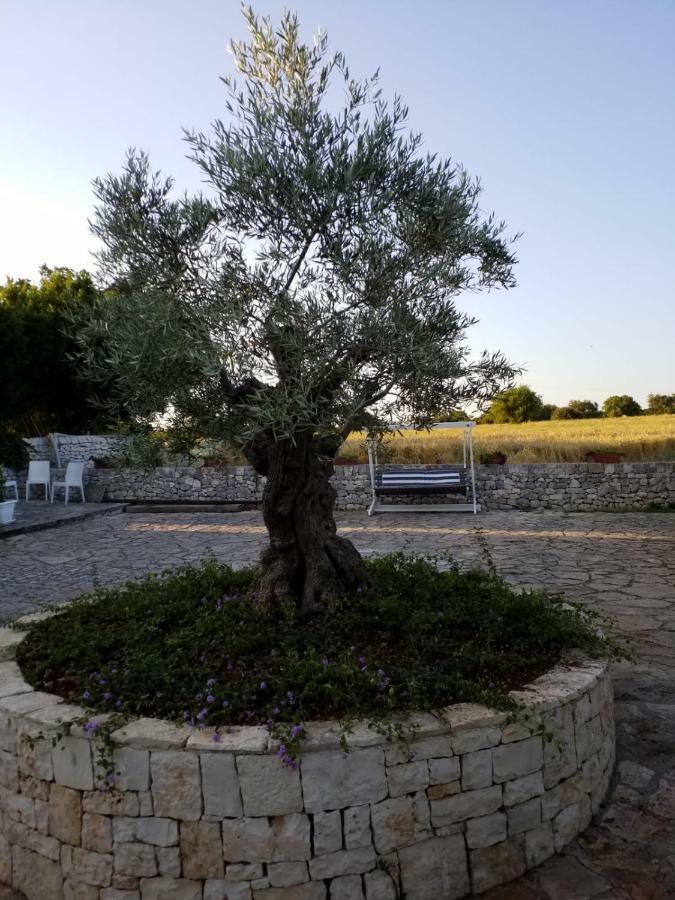 Dimora Del Sole Apartamento Putignano Exterior foto